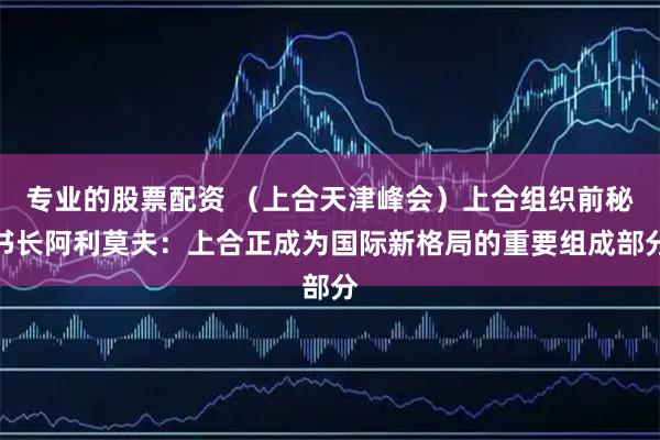 专业的股票配资 （上合天津峰会）上合组织前秘书长阿利莫夫：上合正成为国际新格局的重要组成部分