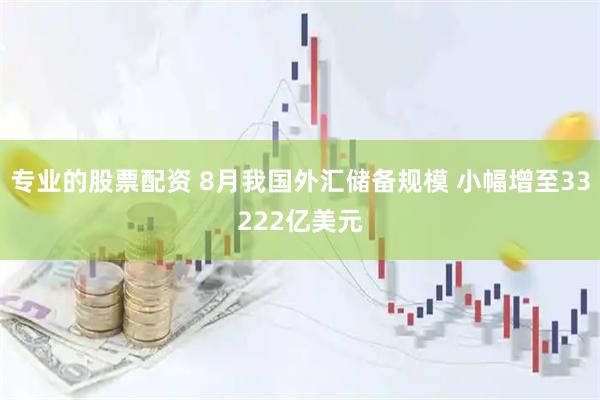 专业的股票配资 8月我国外汇储备规模 小幅增至33222亿美元