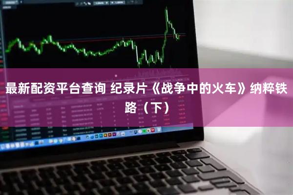 最新配资平台查询 纪录片《战争中的火车》纳粹铁路（下）